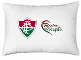 FRONHA FLUMINENSE