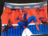 Homem aranha teia